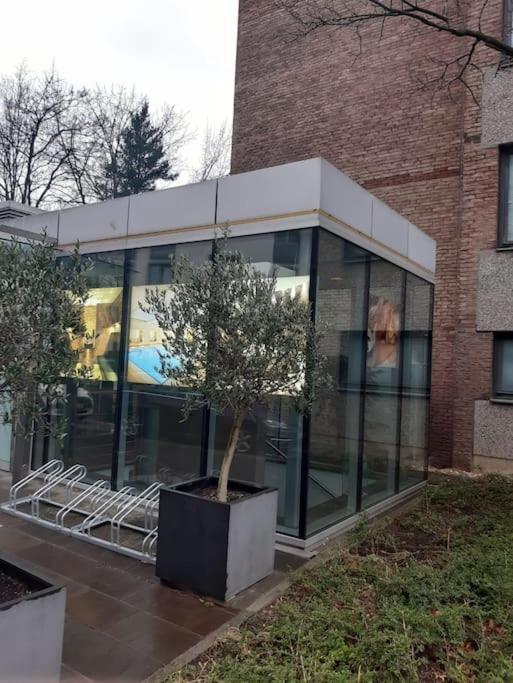 Gemutlich Und Moderne Wohnung In Dusseldorf Exterior photo
